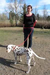 Henna Kettusen Nelli tutkailee jonkun toisen koiran tekemiä kaivantoja koirapuiston sorapintaan.