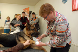 Sirkka Pyhälä demonstroi Wilma-koiran kanssa tassusiteen tekemistä.