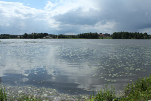 51järvi