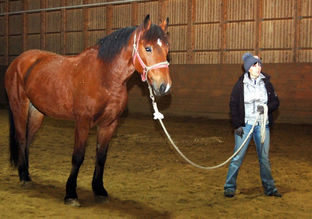Mia Kytölä korostaa sitä, että hevosen pitää kunnioittaa ihmisen tilaa. Hevonen saadaan liikkumaan halutusti pienilläkin eleillä. Kuva: Vivikka Monto