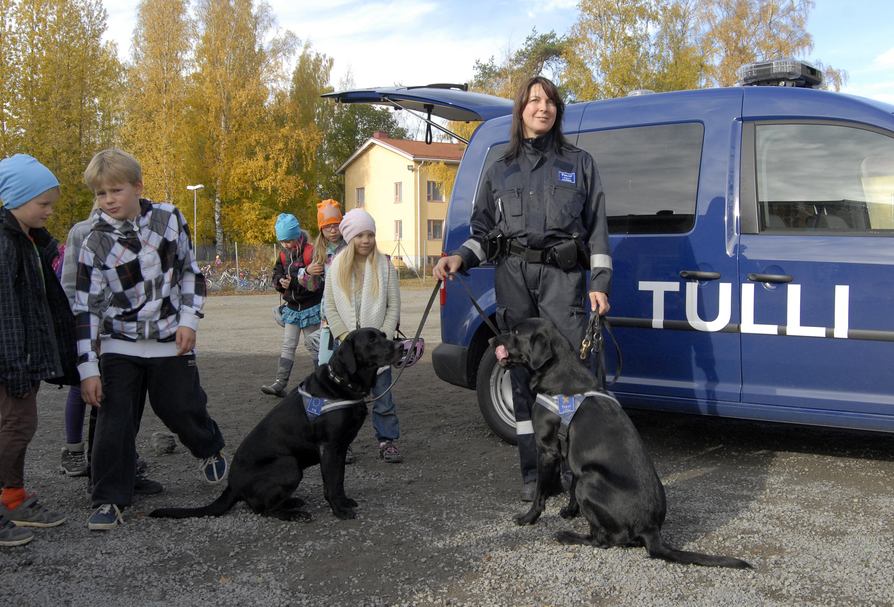 Koira on korvaamaton kumppani monessa työssä