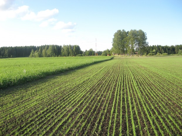 Säijäläinen pelto sijaitse ennen vanhaan Vesilahdessa, ja viimeiset 50 vuotta Lempäälässä.