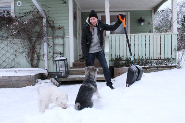 Miika  Mattila teki kotipihallaan lumitöitä viime perjantaina. Inka- ja Maija-koirat avustavat. Kuva: Erkki Koivisto