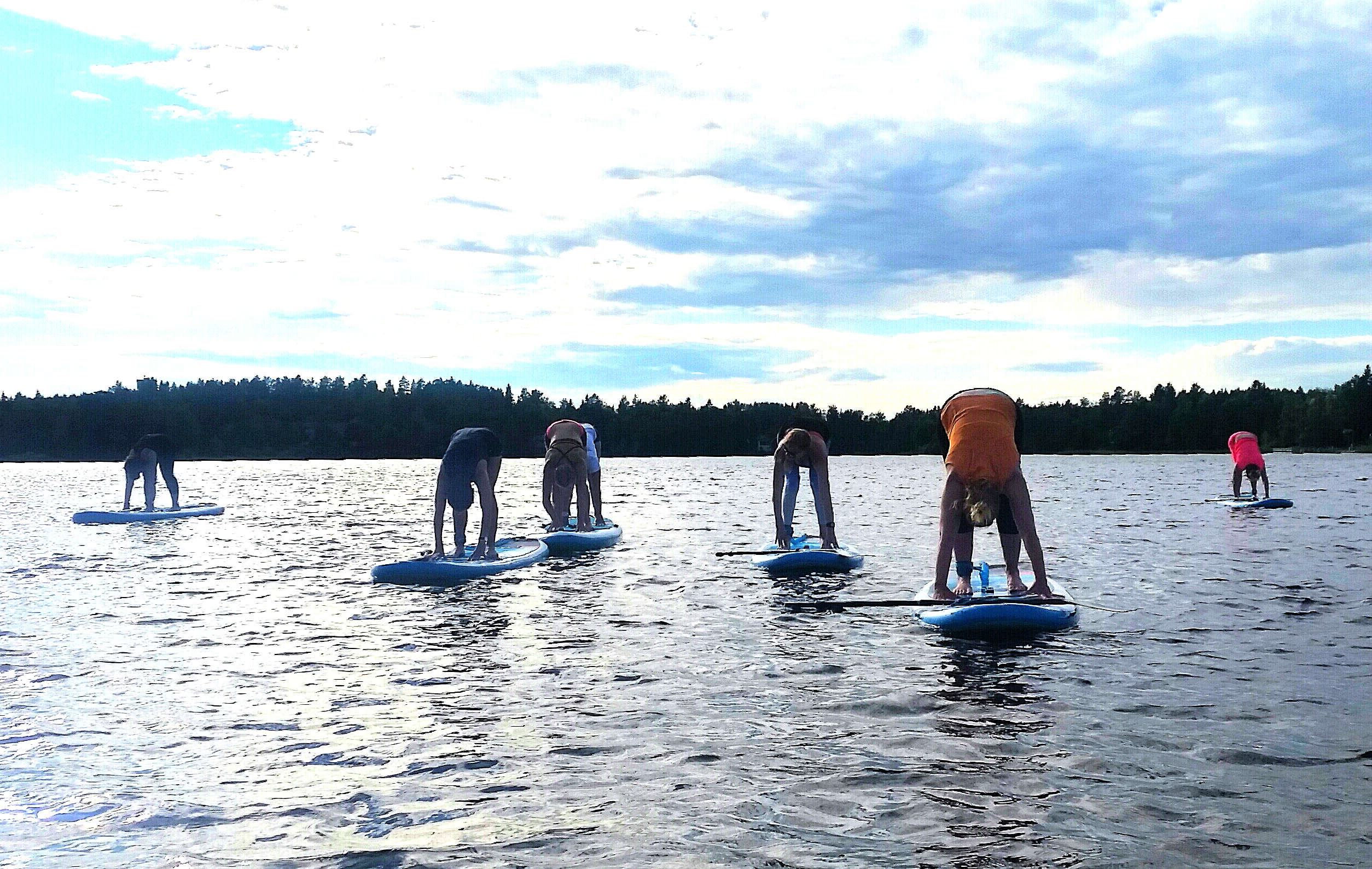 Alaspäin katsova koira laudan päällä