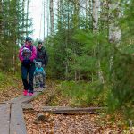 Siisjärvi sai laavun: Birgitan polkua kunnostetaan yli 200 000 eurolla – työ jatkuu