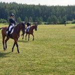 Hevosystävien superviikonloppu käynnistyi Lempäälässä – Katso kuvia perjantain kenttäratsastuskilpailusta!