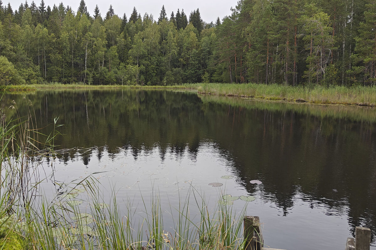 Puskiaisten oikaisu sujuvoittaa liikennettä ja tuo kasvua