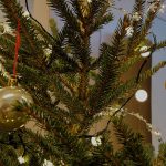Pirkanmaan Jätehuolto kerää jälleen joulukuuset – Vesilahdessa noutohinta kalliimpi kuin Lempäälässä