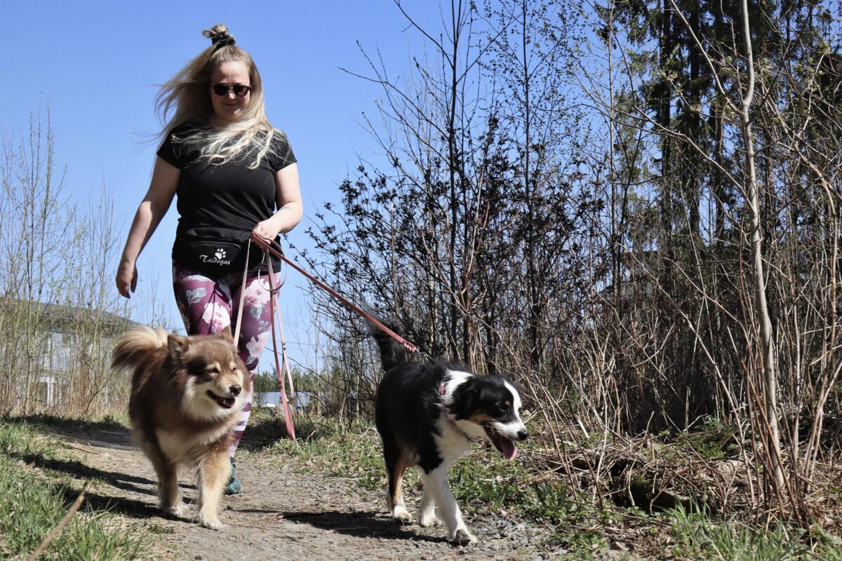 Meisi selviytyi kyyn puremasta – Hakkarin metsässä on runsaasti käärmeitä