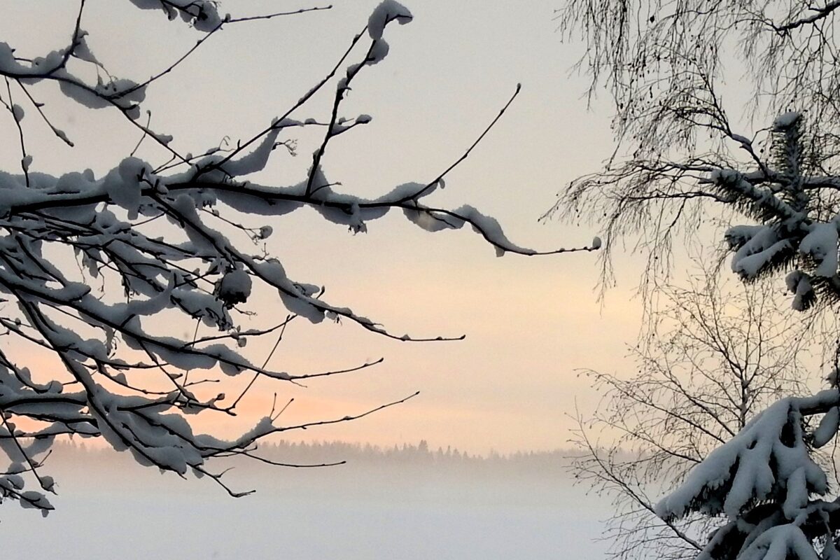 Lukijan kuva: Talviaamun kauneutta