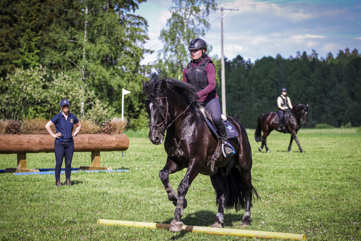 Harju aloittaa hevosalan koulutuksen Lempäälässä – Koulutukseen haku alkaa jo tänä keväänä