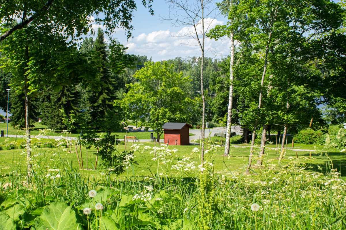 Lempäälän Myllyranta sai kansainvälisesti merkittävän puistotunnustuksen